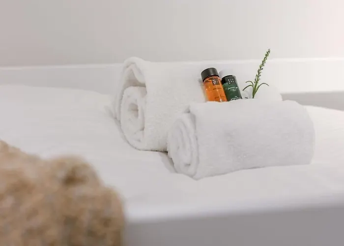 Huswell - Beautiful With Terrace And Parking Ostende